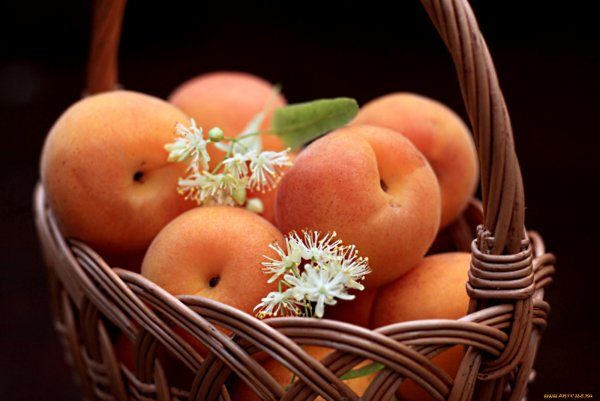 Корзинка с персиками