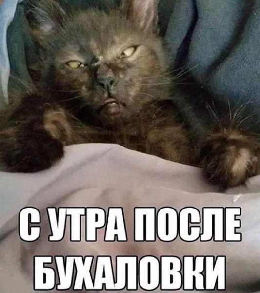 Не доброе утро