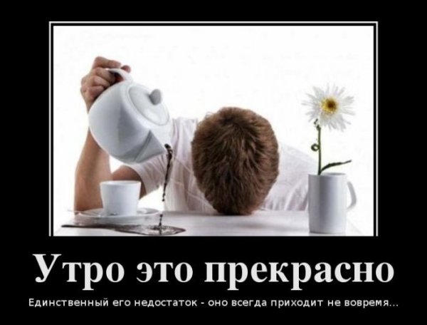 Смешные картинки с добрым утром