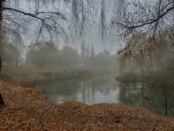 Дождливая осень