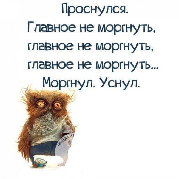 Утренние афоризмы с юмором