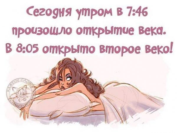 Смешные высказывания с добрым утром