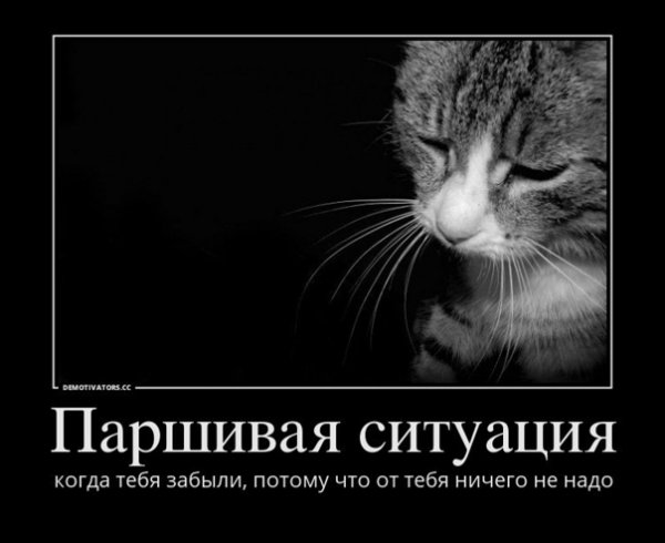 Настроение картинки демотиваторы