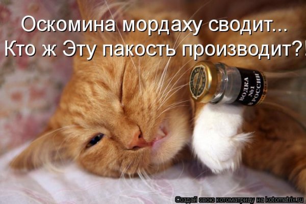 Порой бывает так тоскливо