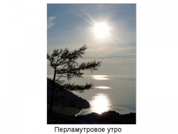 Фото перламутровое утро