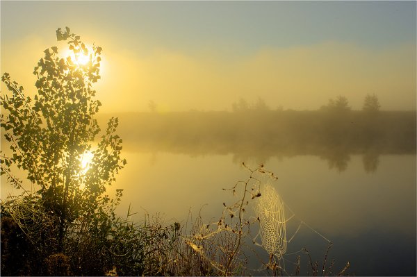 Небо на речке утро раннее