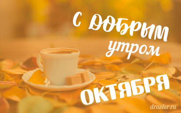 Открытки с добрым утром октября