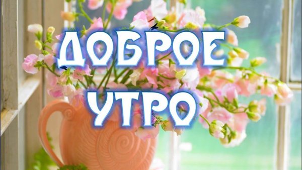 Доброе августовское утро
