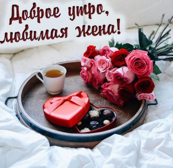 Доброе утро любимая жена