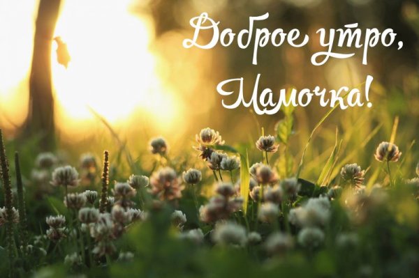 Доброе утро мама