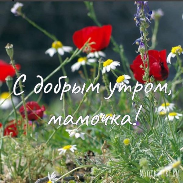 Доброе утро мамуля