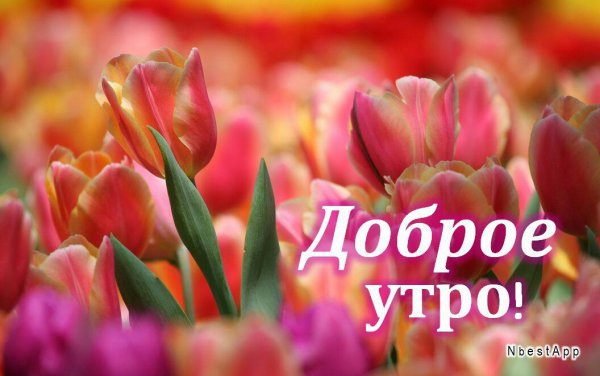 Открытки с добрым утром маме