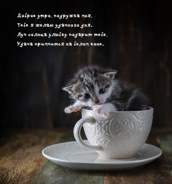 Стихи с добрым утром