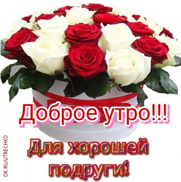 Доброе утро подружка