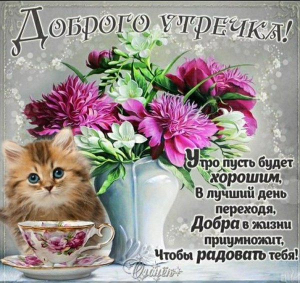 Пожелания с добрым утром подруге