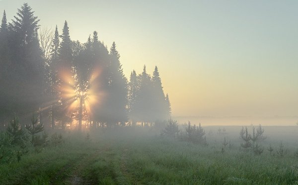 Первый туман лета