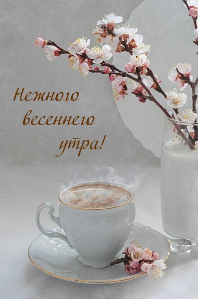 Доброе утро Весна