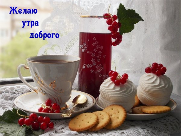 Добрейшее утро