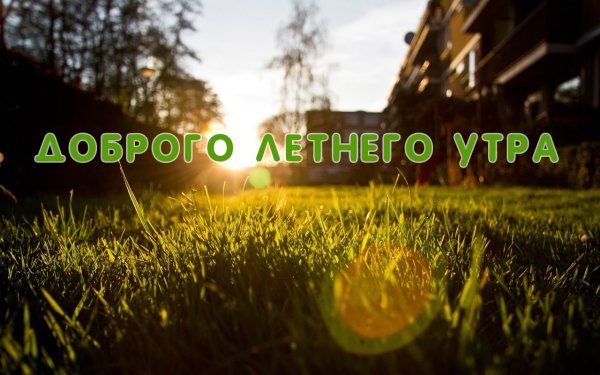 Доброе летнее утро