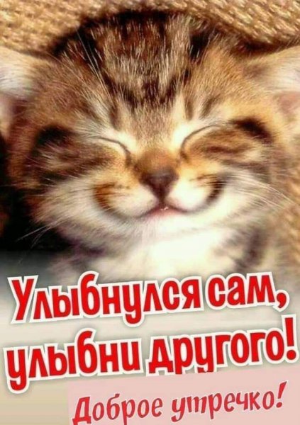 Доброе утро улыбнись