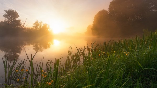 Природа рассвет