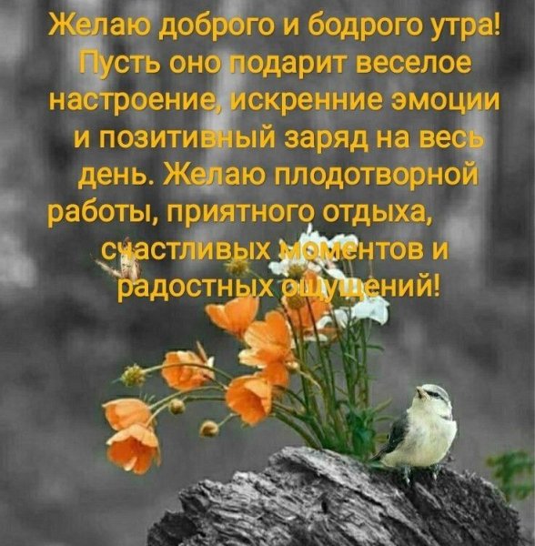 Мудрые высказывания с добрым утром