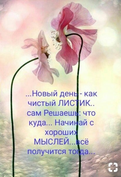 Мудрые пожелания на каждый день