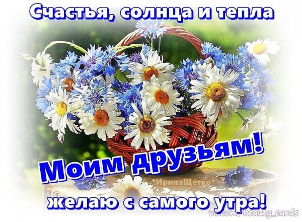 Пожелания с добрым утром и здоровья