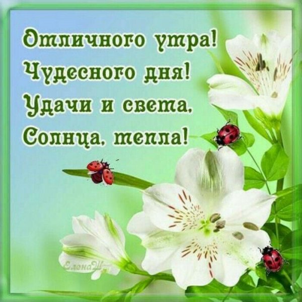 Доброго дня и хорошего настроения стихи