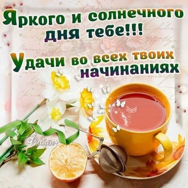 Доброе солнечное утро хорошего дня