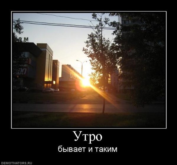 Демотиваторы с добрым утром прикольные