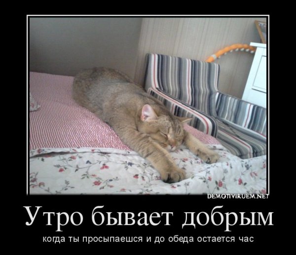 Доброе утро смешные