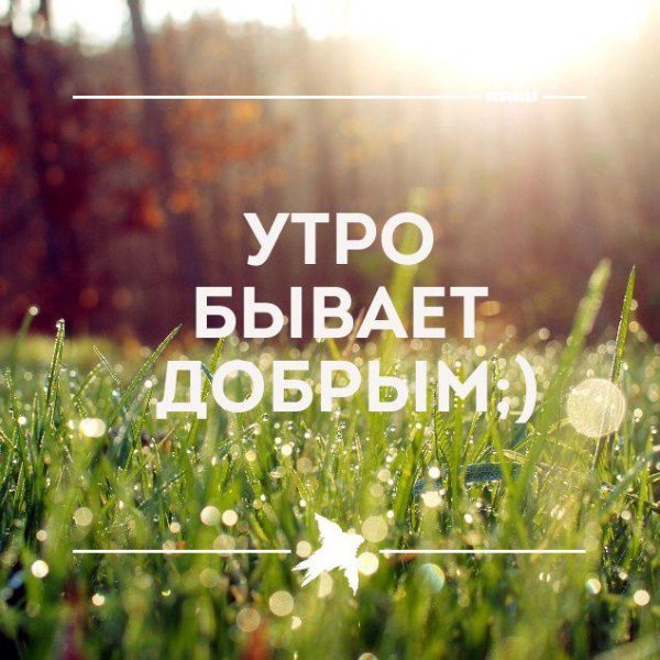 Утро добрым бывает