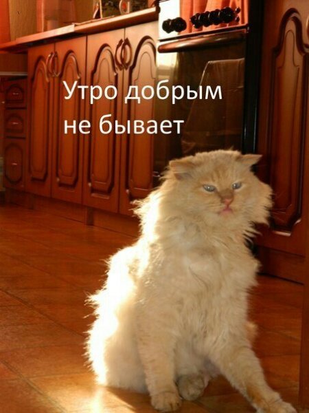Утро понедельника добрым не бывает