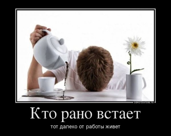 Смешные картинки с добрым утром