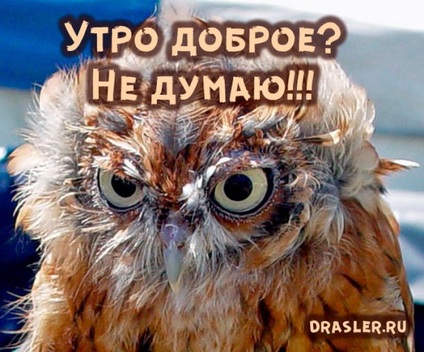 Понедельник добрым не бывает