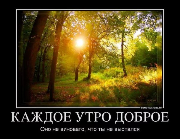 Демотиваторы с добрым утром