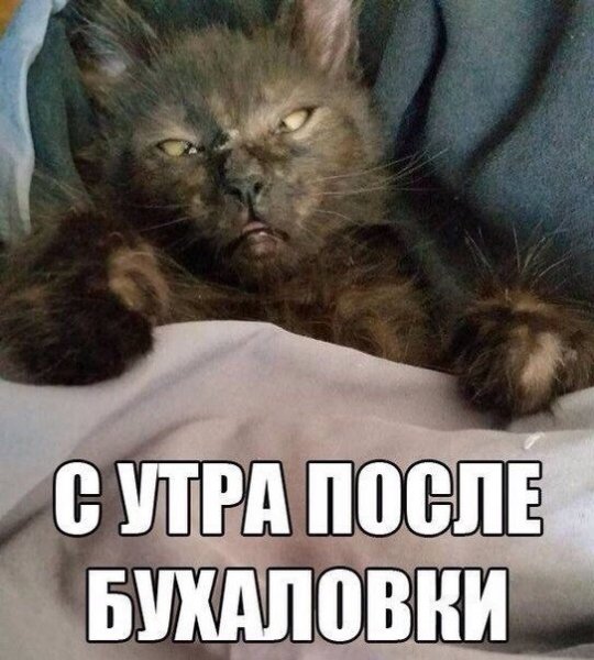 Утро после пьянки