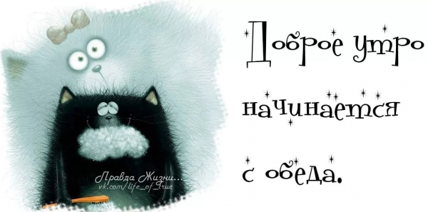 Утро добрым бывает