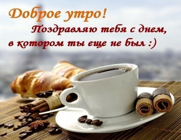 Утро добрым бывает