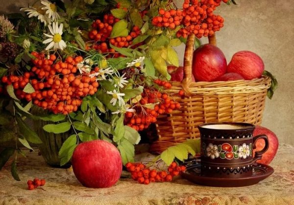 Яблоки и рябина осенью