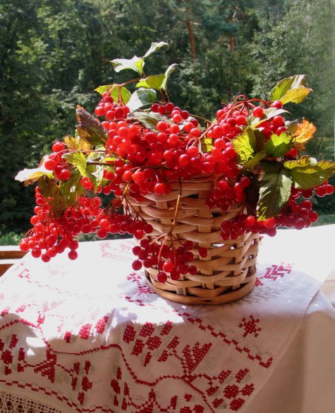 Осенний букет с калиной