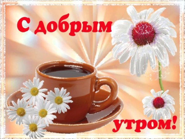 Привет с добрым утром