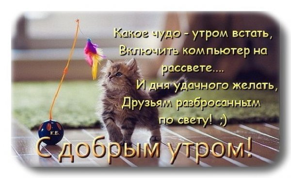 Пожелания с добрым утром друзьям
