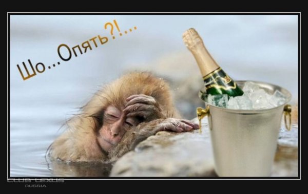 Открытки после праздника прикольные