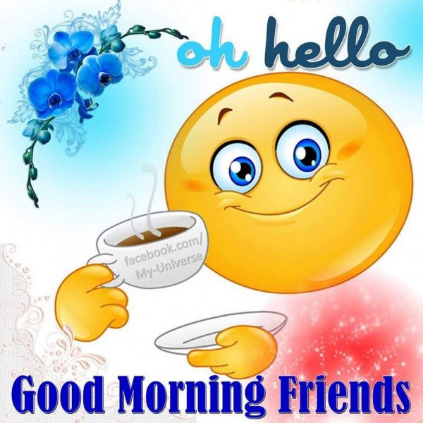Good morning friends