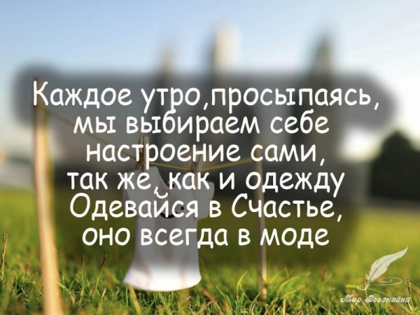 Афоризмы про счастье