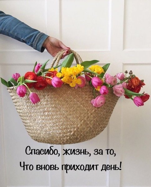 Доброе утро жизнь