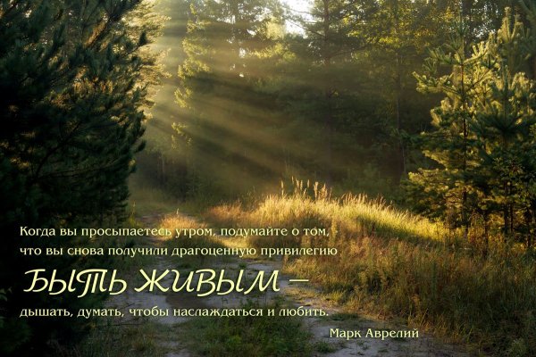 Афоризмы про утро на природе