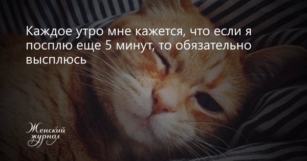 Доброе утро я не выспалась